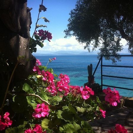 Villa Fourtuna Apartment Agios Ioannis Peristerion 외부 사진