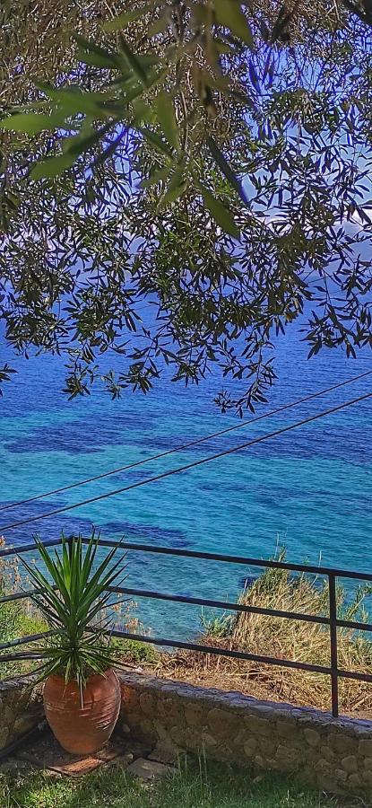 Villa Fourtuna Apartment Agios Ioannis Peristerion 외부 사진