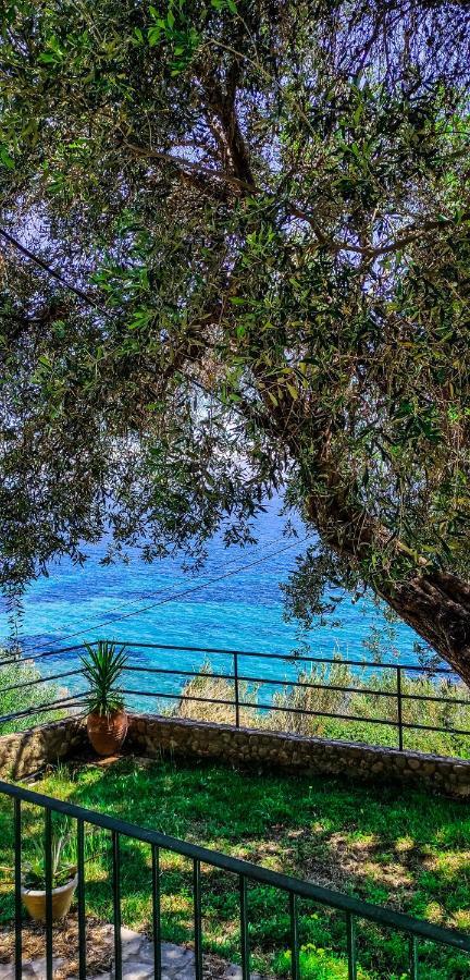 Villa Fourtuna Apartment Agios Ioannis Peristerion 외부 사진