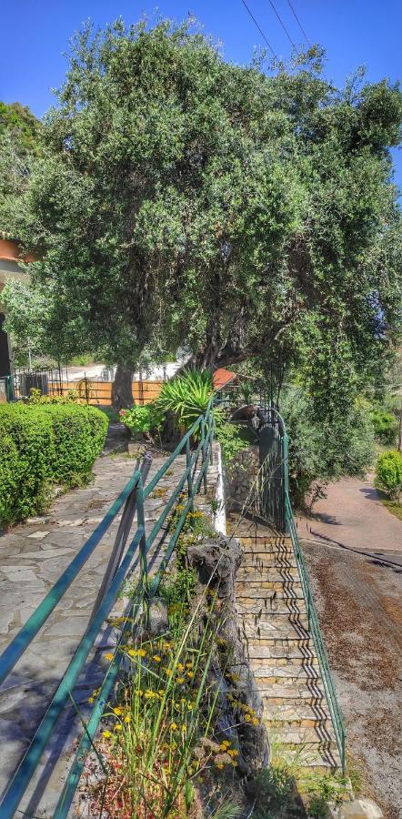 Villa Fourtuna Apartment Agios Ioannis Peristerion 외부 사진