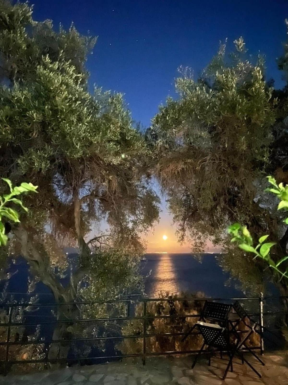 Villa Fourtuna Apartment Agios Ioannis Peristerion 외부 사진
