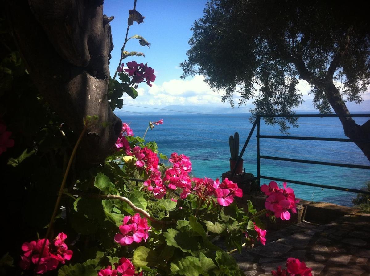 Villa Fourtuna Apartment Agios Ioannis Peristerion 외부 사진