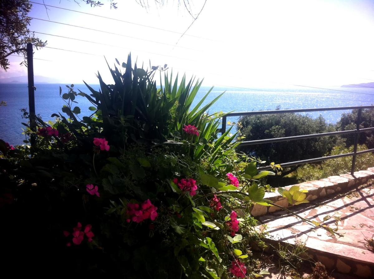 Villa Fourtuna Apartment Agios Ioannis Peristerion 외부 사진