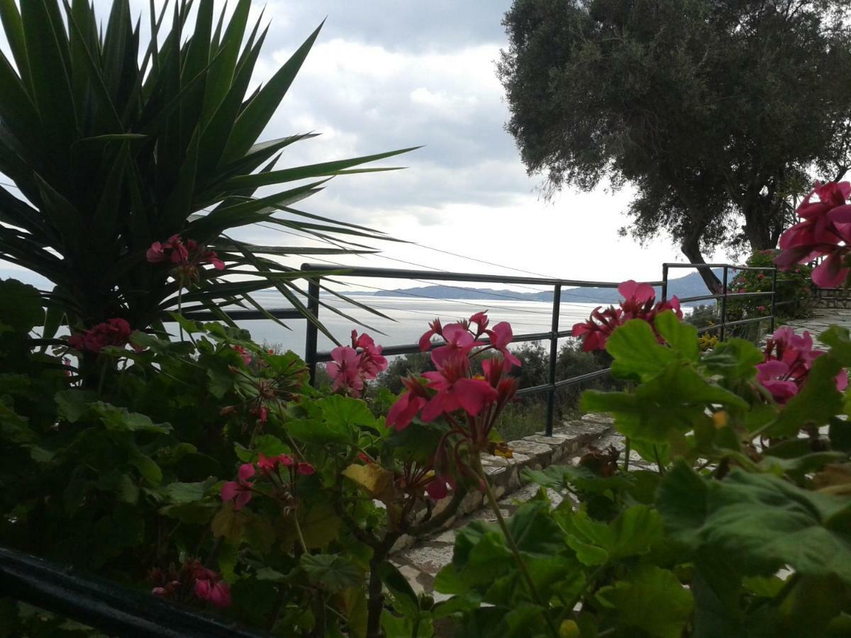 Villa Fourtuna Apartment Agios Ioannis Peristerion 외부 사진