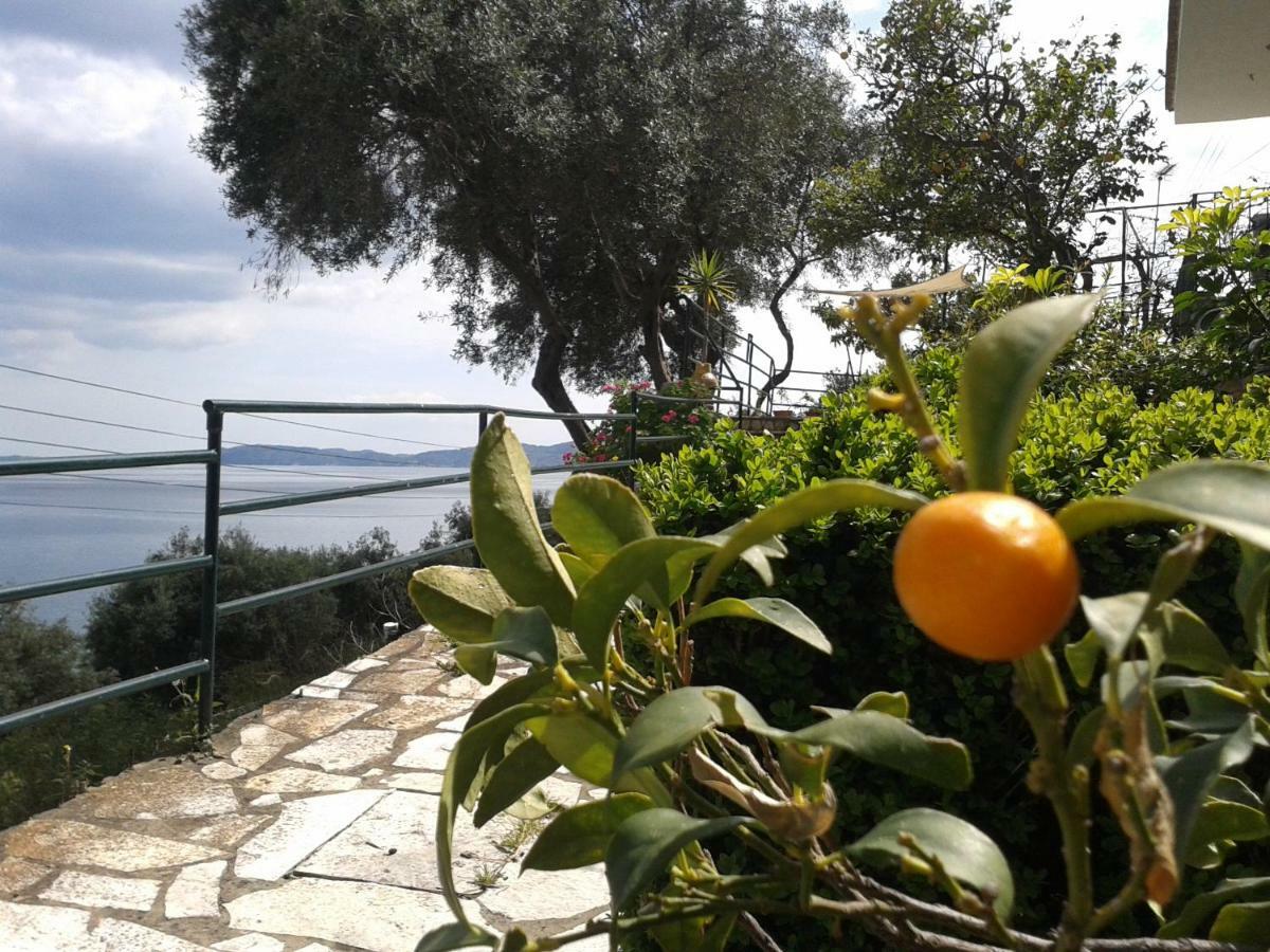 Villa Fourtuna Apartment Agios Ioannis Peristerion 외부 사진