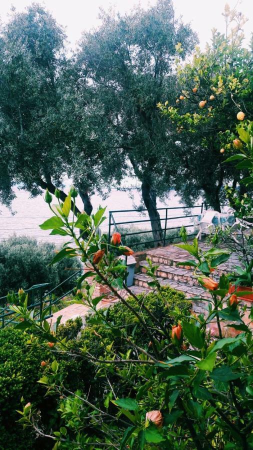 Villa Fourtuna Apartment Agios Ioannis Peristerion 외부 사진