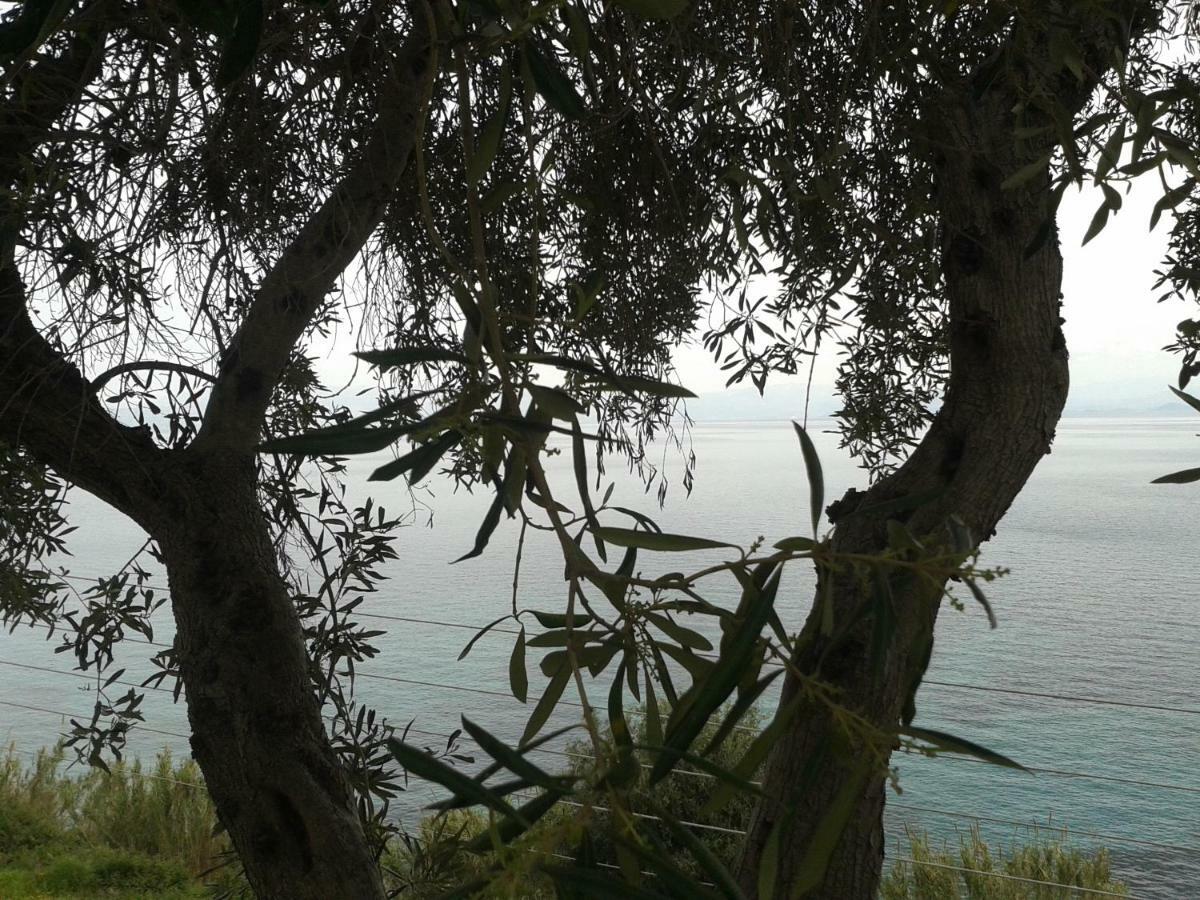Villa Fourtuna Apartment Agios Ioannis Peristerion 외부 사진